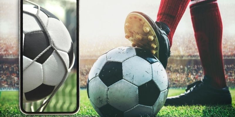 Sân chơi cược hợp pháp, uy tín hàng đầu có chứng nhận