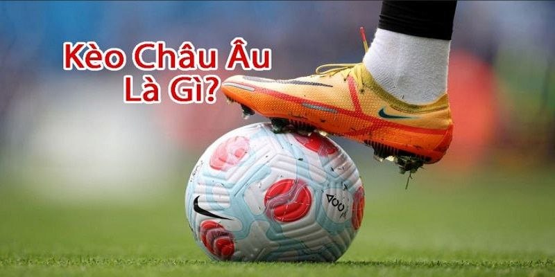 Luật cơ bản cược 1x2 hội viên cần nhớ 