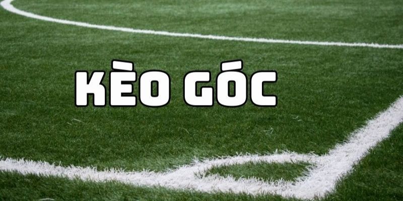 Ghi nhớ lựa chọn phổ biến để đặt tiền
