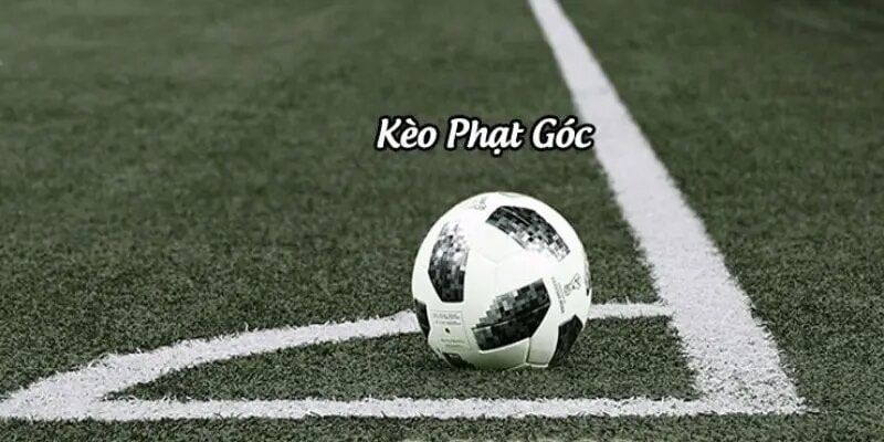 Hiểu rõ luật cá cược cơ bản trước khi chơi