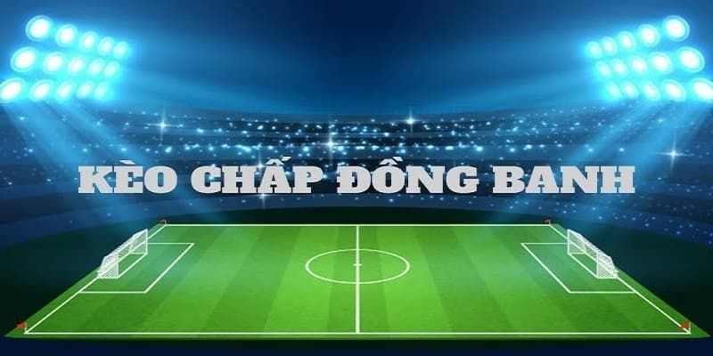 Học hỏi luật cơ bản của hình thức cược