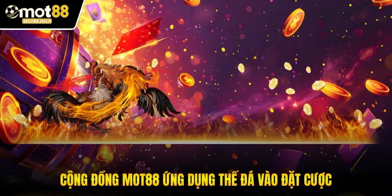 Cộng đồng MOT88 ứng dụng thế đá vào đặt cược