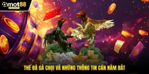 Thế Đá Gà Chọi - Đỉnh Cao Võ Thuật Của Chiến Kê Việt