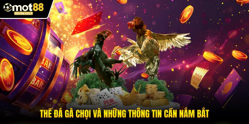 Thế đá gà chọi và những thông tin cần nắm bắt