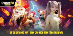 Đá Gà Cựa Dao Mỹ – Đỉnh Cao Kịch Tính Từng Trận Đấu