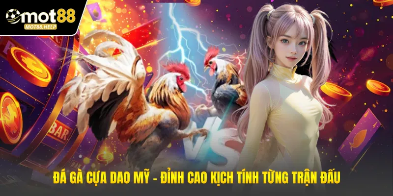 Đá Gà Cựa Dao Mỹ – Đỉnh Cao Kịch Tính Từng Trận Đấu