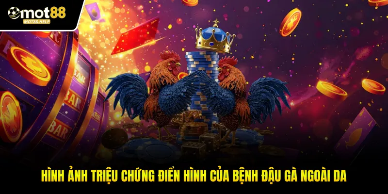 Hình ảnh triệu chứng điển hình của bệnh đậu gà ngoài da