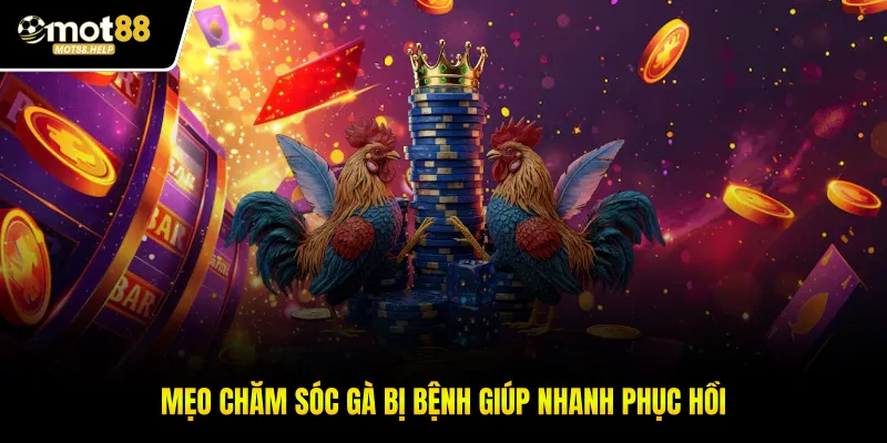 Mẹo chăm sóc gà bị bệnh giúp nhanh phục hồi