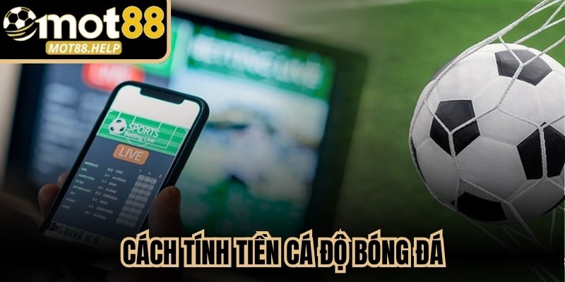 Cách Tính Tiền Cá Độ Bóng Đá