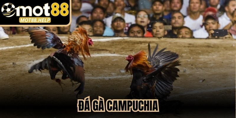 Đá Gà Campuchia