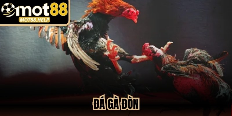 Đá Gà Đòn