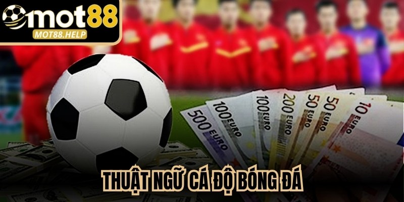 Thuật Ngữ Cá Độ Bóng Đá