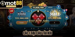 Các Loại Cầu Tài Xỉu