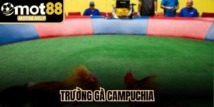 Trường Gà Campuchia